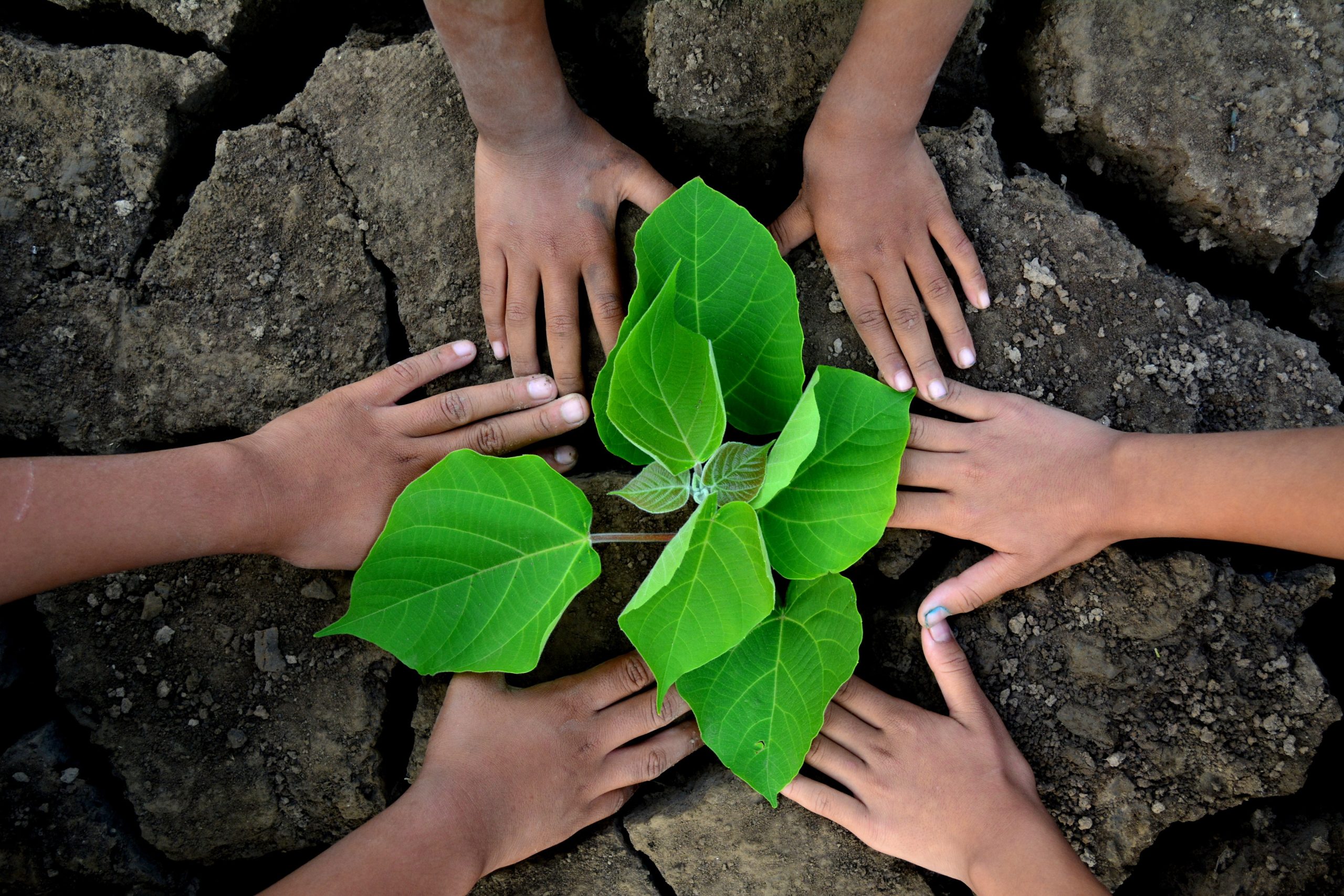 impact and foundation