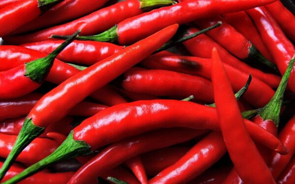 Chilli pepper (To order: Complete bulk order form)