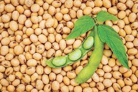 Soybean (To order: Complete bulk order form)