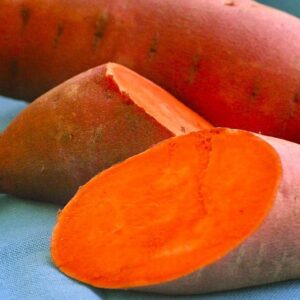 Orange Fleshed Sweet Potato (Wholesale Orders Only)